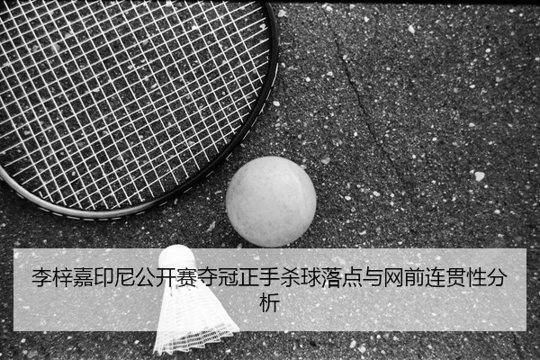 李梓嘉印尼公开赛夺冠正手杀球落点与网前连贯性分析