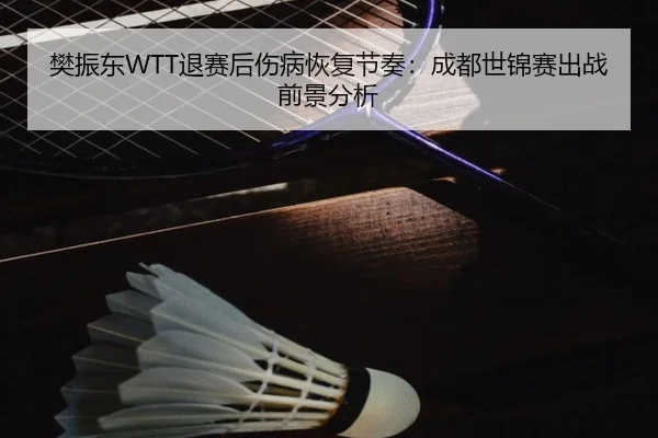 樊振东WTT退赛后伤病恢复节奏：成都世锦赛出战前景分析