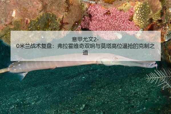yi-jia-you-wen-mi-lan-zhan-shu-fu-pan-fu-la-huo-wei-qi-shuang-xiang-yu-mo-ta-gao-wei-bi-qiang-de-ke-zhi-zhi-dao-2-875.jpg